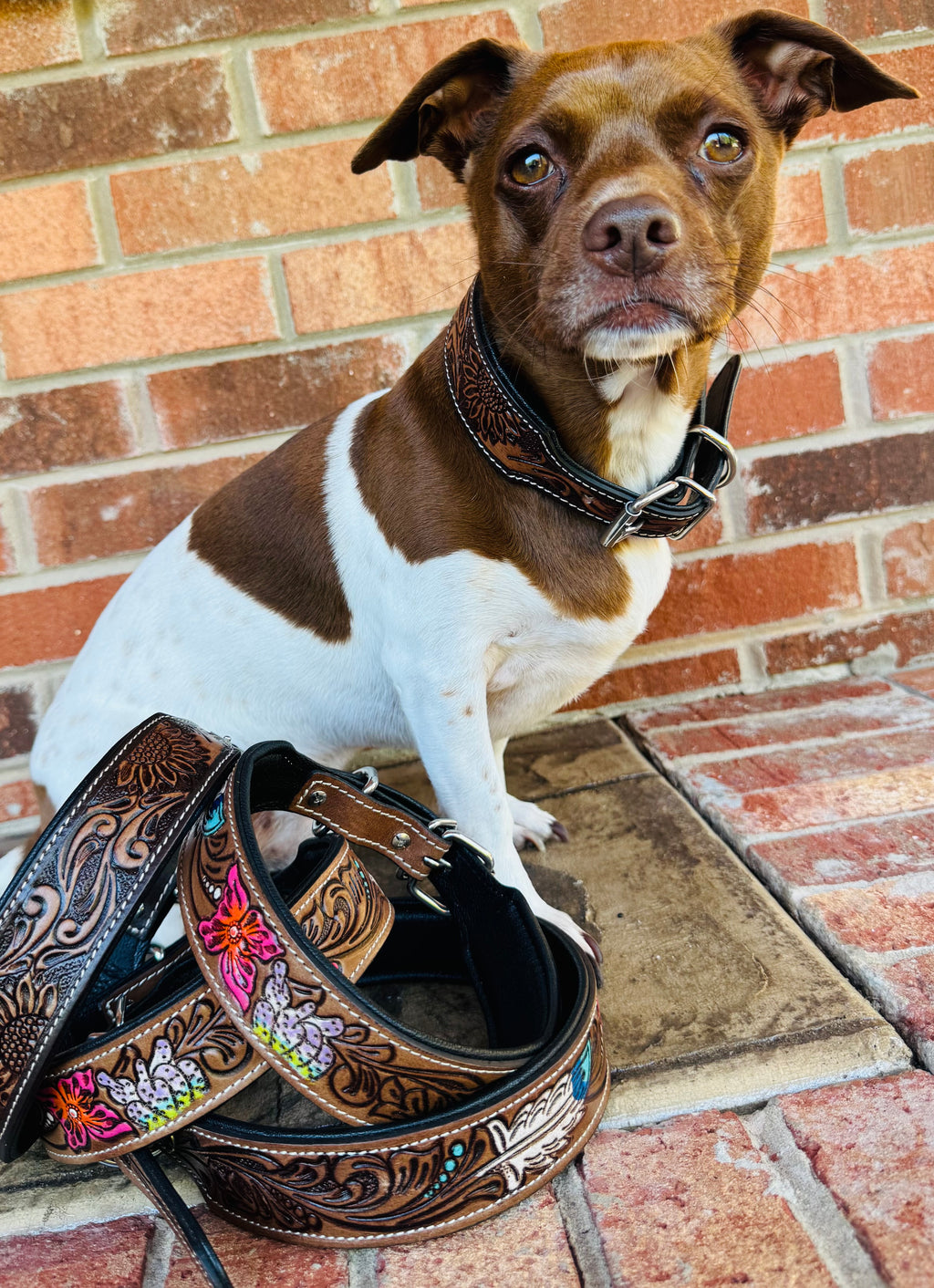 Sunflower Tooled Dog Collar