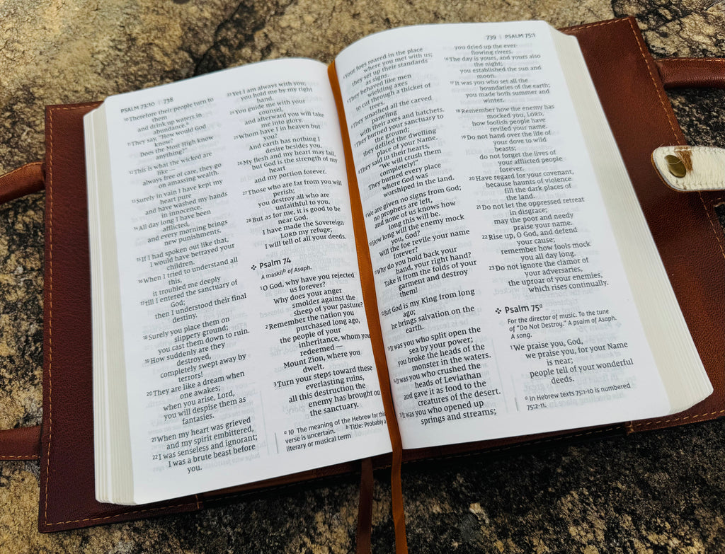 Cowhide Bible Cover Purse