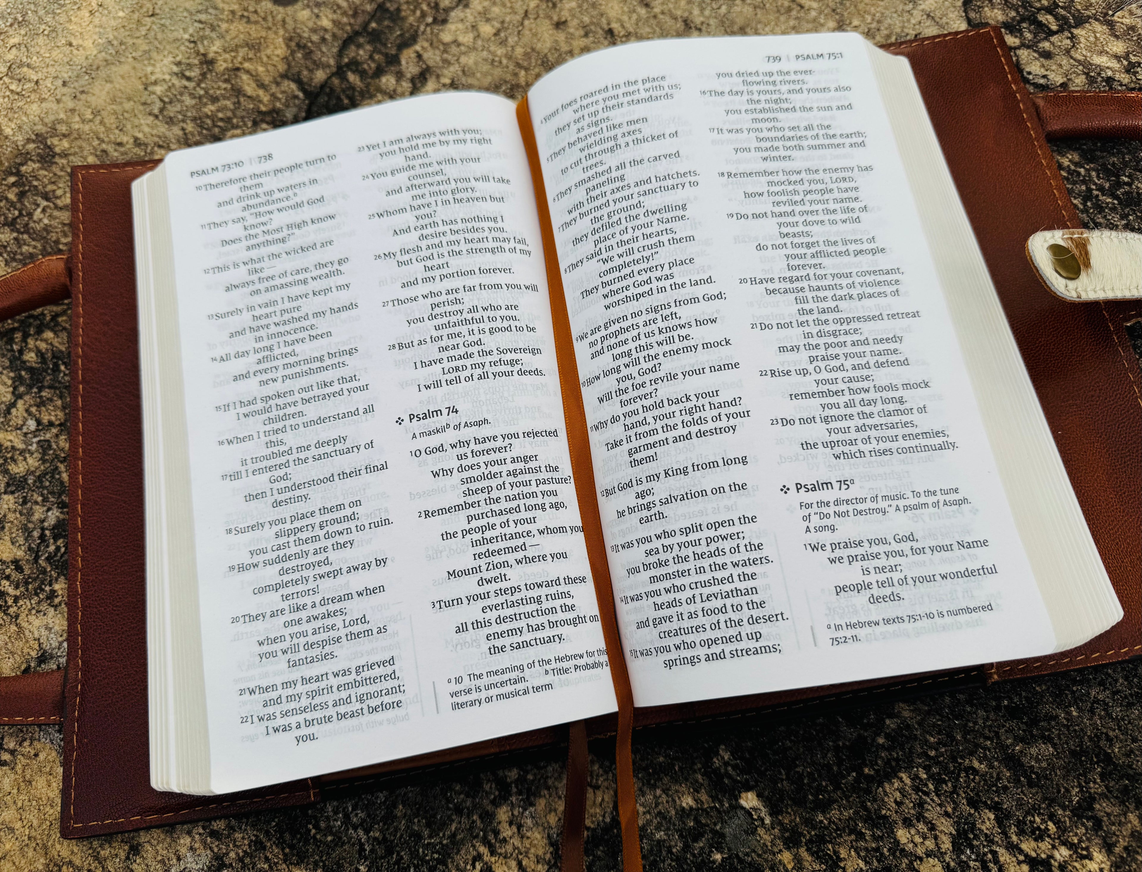 Cowhide Bible Cover Purse