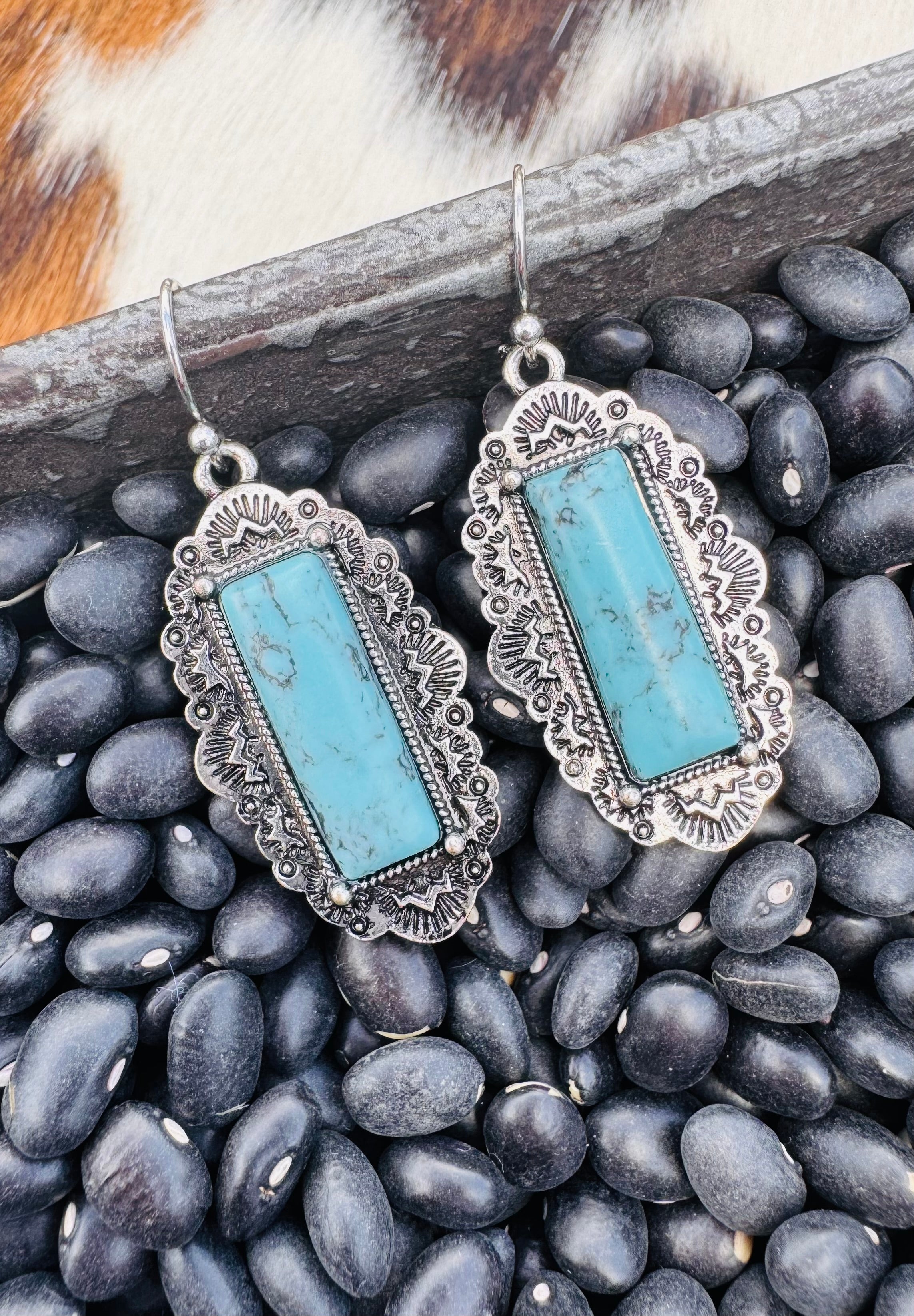 Western Bar Earrings