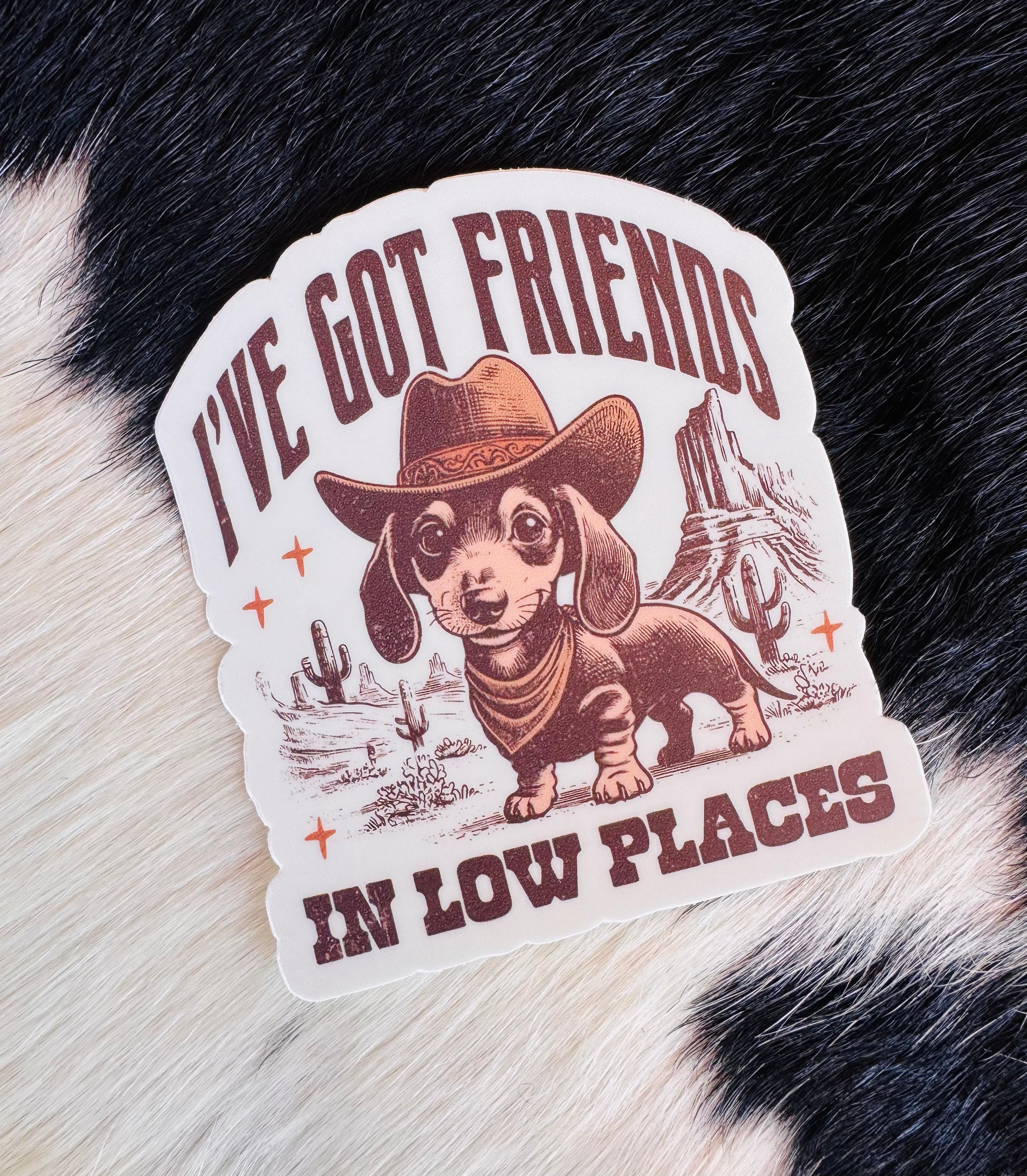 I've Got Friends In Low Places Sticker