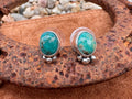 Sterling Silver Turquoise Stud Earrings